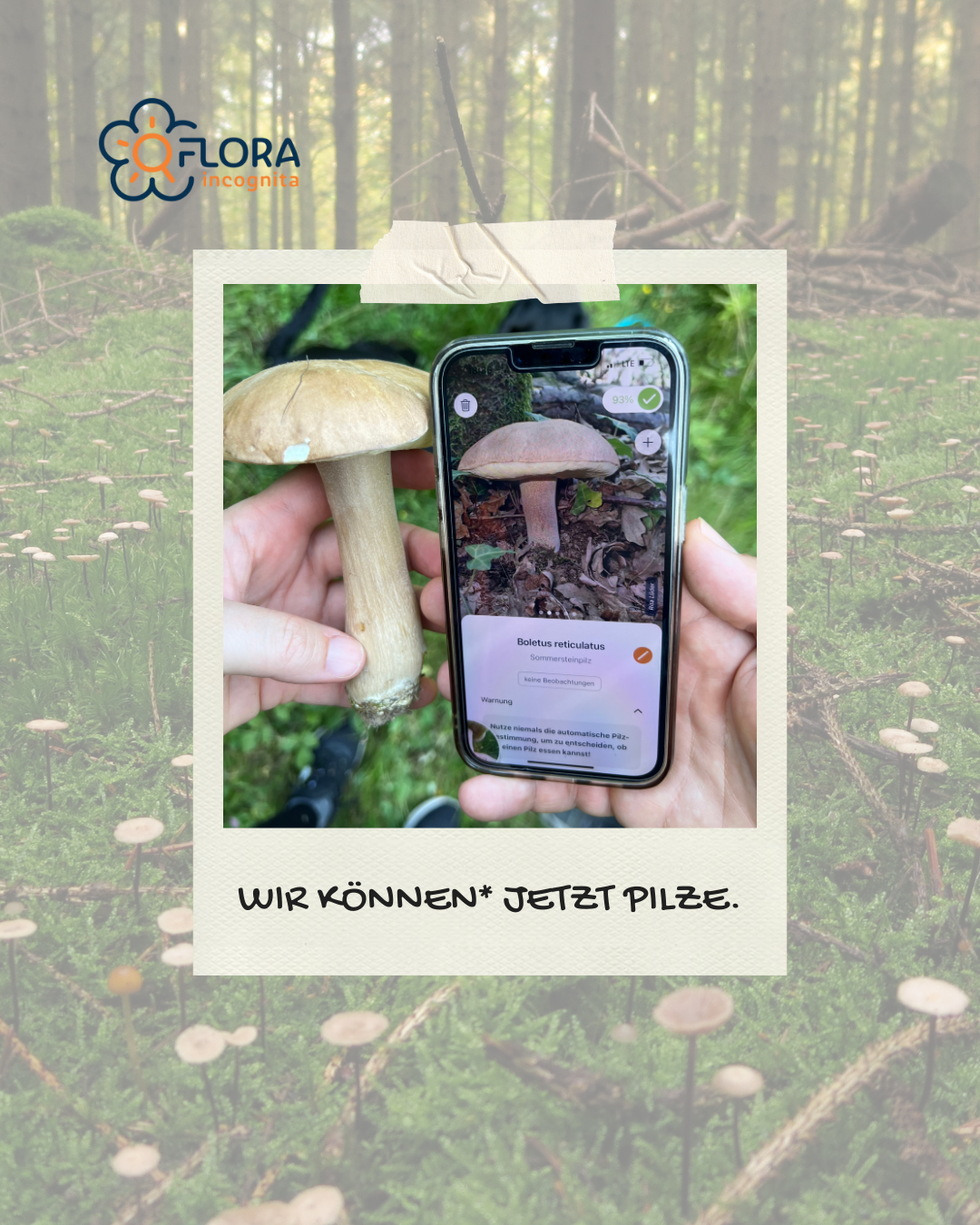 Vor dem Hintergrund einer Waldlichtung mit Pilzen "klebt" ein Polaroid, welches zeigt, dass eine Hand einen Steinpilz hält. DIe andere hält ein Handy, wo ein Steinpilzsteckbrief in FLora Incognita zu sehen ist.