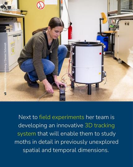 Posted media
