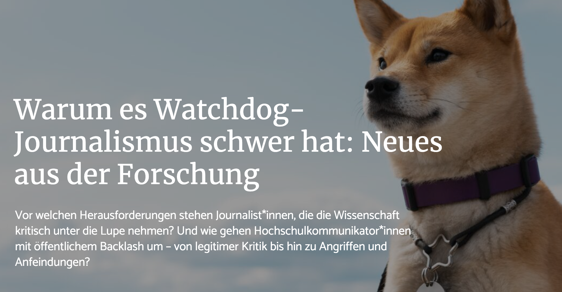 Header-Bild des Beitrags mit Überschrift und einem Hund im Hintergrund, der aufmerksam guckt